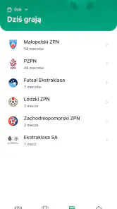 mPZPN screenshot