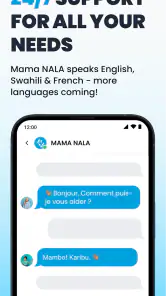 NALA Send Money Globally screenshot