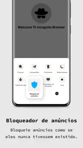 navegador privado screenshot