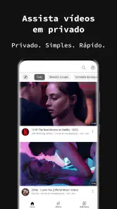 navegador privado screenshot