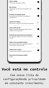 navegador privado screenshot