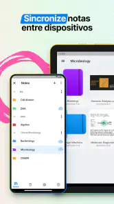Nebo: o caderno dos estudantes screenshot