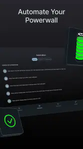 Netzero for Tesla screenshot