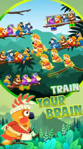 Ordenação de Pássaros 2 screenshot