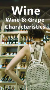 Perfis de vinho e variedades screenshot