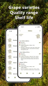 Perfis de vinho e variedades screenshot