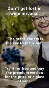 Perfis de vinho e variedades screenshot