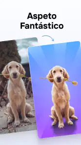 Photoroom: Editor de Fotos IA screenshot