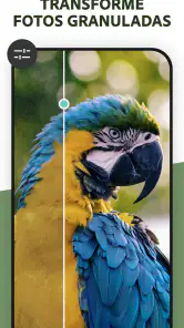 Photoshop Express Editar Fotos screenshot
