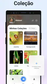 Picture Insect - Insetos ID screenshot