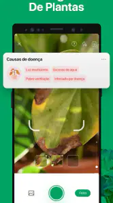 PictureThis Identificar Planta screenshot