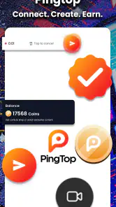 PingTop screenshot