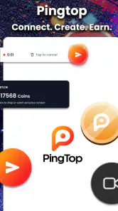 PingTop screenshot