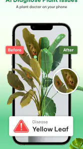 Plant Identifier & Plant Care screenshot