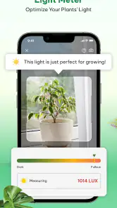 Plant Identifier & Plant Care screenshot