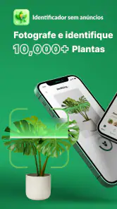Plantas Identificador - Cuidar screenshot