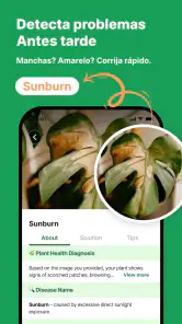 Plantas Identificador - Cuidar screenshot