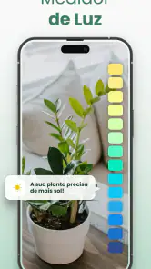 Plantify: Identificador Planta screenshot