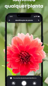 PlantIn: Identificar Plantas screenshot