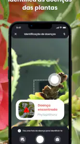 PlantIn: Identificar Plantas screenshot