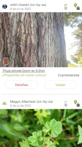 PlantNet Identificação planta screenshot