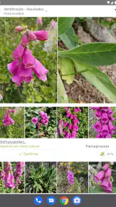 PlantNet Identificação planta screenshot
