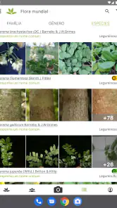 PlantNet Identificação planta screenshot