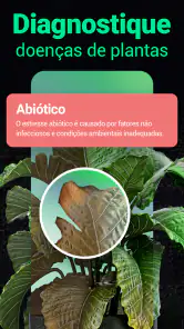 Plantum - Identificar plantas screenshot