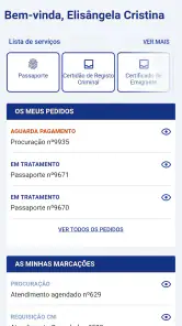 Portal Consular screenshot