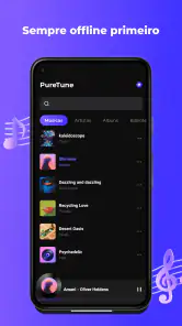 PureTune: Música Offline screenshot