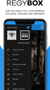 RegyBox screenshot