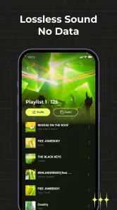 Rhythm Music - Offline Player screenshot
