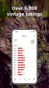 Safras de vinhos screenshot