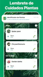 Scanner Identificador Planta screenshot