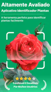 Scanner Identificador Planta screenshot