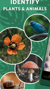 Seek, do iNaturalist screenshot