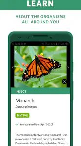 Seek, do iNaturalist screenshot