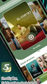 ShortFly Max screenshot