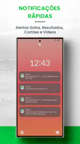SKORES - Futebol ao Vivo screenshot