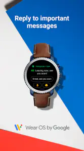 Smartwatch Wear OS by Google screenshot