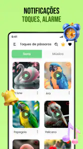 Sons de pássaros screenshot