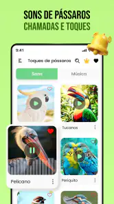 Sons de pássaros screenshot