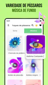 Sons de pássaros screenshot