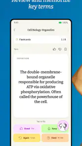 StudyFetch screenshot
