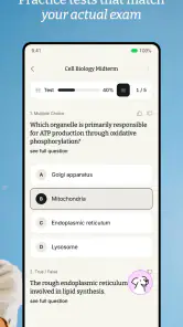 StudyFetch screenshot