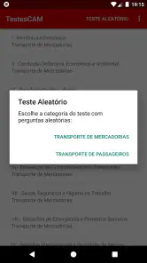 TestesCAM screenshot