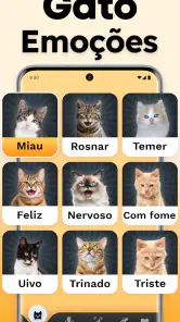 Tradutor de Gatos - Jogo Gato screenshot