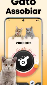 Tradutor de Gatos - Jogo Gato screenshot