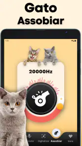 Tradutor de Gatos - Jogo Gato screenshot