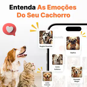 Tradutor De Humano para Cão screenshot